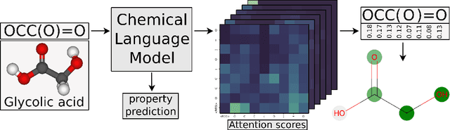 Figure 1 for Explainability Techniques for Chemical Language Models