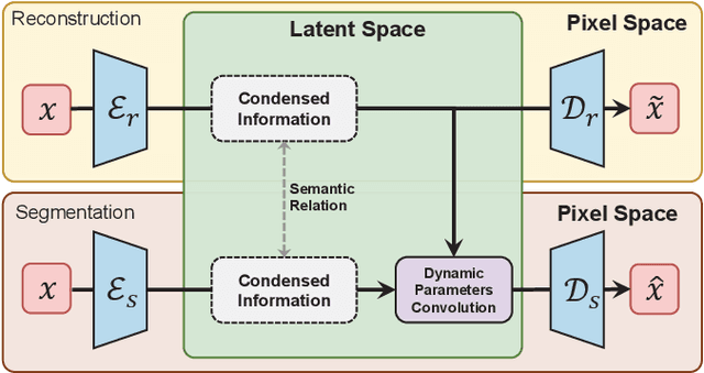 Figure 1 for SRSNetwork: Siamese Reconstruction-Segmentation Networks based on Dynamic-Parameter Convolution