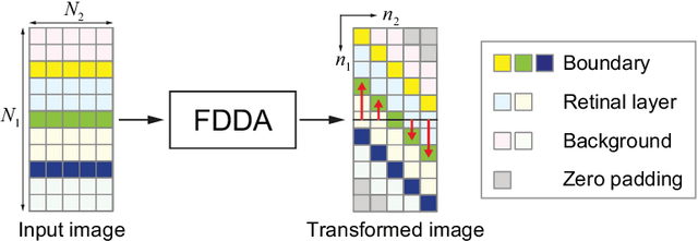 Figure 3 for Formula-Driven Data Augmentation and Partial Retinal Layer Copying for Retinal Layer Segmentation