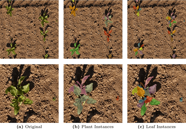 Figure 1 for Exploiting Boundary Loss for the Hierarchical Panoptic Segmentation of Plants and Leaves