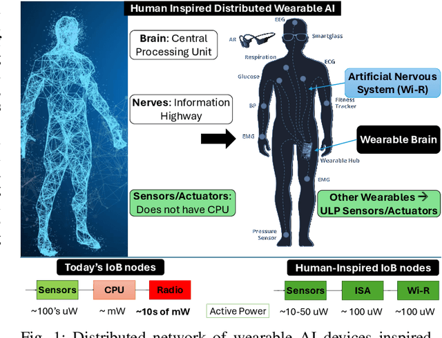 Figure 1 for Invited: Human-Inspired Distributed Wearable AI