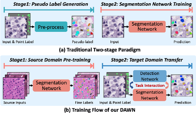 Figure 1 for DAWN: Domain-Adaptive Weakly Supervised Nuclei Segmentation via Cross-Task Interactions