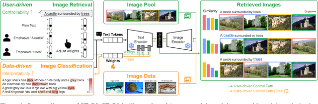 Figure 1 for Semantic Token Reweighting for Interpretable and Controllable Text Embeddings in CLIP