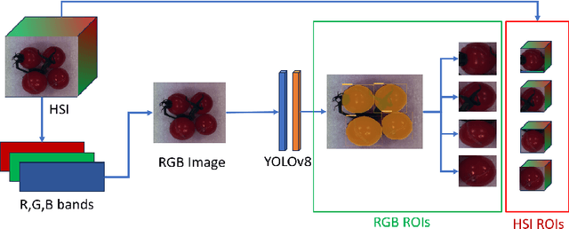 Figure 4 for Unsupervised Tomato Split Anomaly Detection using Hyperspectral Imaging and Variational Autoencoders