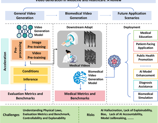 Figure 1 for Artificial Intelligence for Biomedical Video Generation