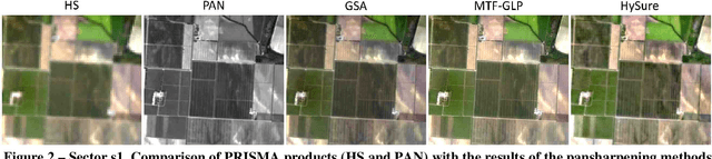 Figure 3 for Pansharpening of PRISMA products for archaeological prospection