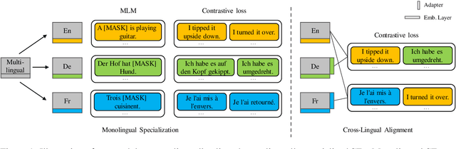 Figure 1 for Modular Sentence Encoders: Separating Language Specialization from Cross-Lingual Alignment