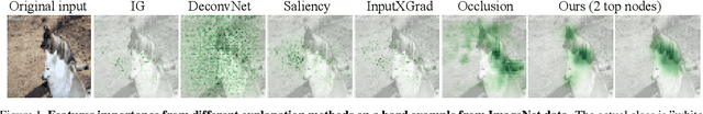 Figure 1 for Causal Analysis for Robust Interpretability of Neural Networks