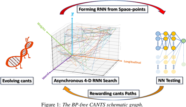 Figure 1 for Backpropagation-Free 4D Continuous Ant-Based Neural Topology Search