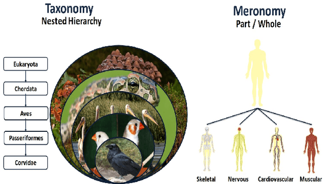 Figure 1 for Beyond Individual Facts: Investigating Categorical Knowledge Locality of Taxonomy and Meronomy Concepts in GPT Models