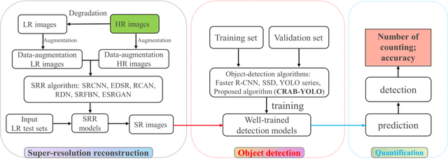 Figure 1 for Monitoring of Hermit Crabs Using drone-captured imagery and Deep Learning based Super-Resolution Reconstruction and Improved YOLOv8