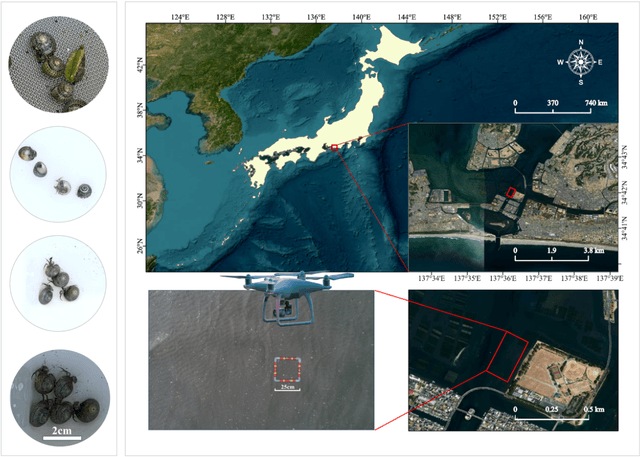 Figure 3 for Monitoring of Hermit Crabs Using drone-captured imagery and Deep Learning based Super-Resolution Reconstruction and Improved YOLOv8