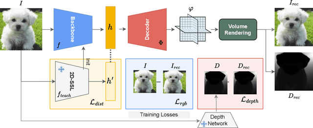 Figure 3 for Enhancing 2D Representation Learning with a 3D Prior