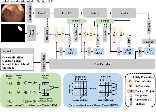 Figure 1 for Language-guided Medical Image Segmentation with Target-informed Multi-level Contrastive Alignments