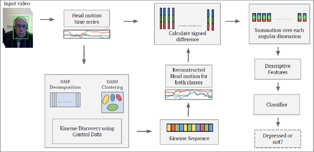 Figure 1 for Explainable Depression Detection via Head Motion Patterns