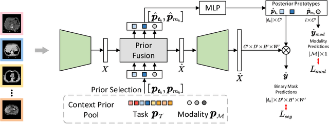 Figure 3 for Training Like a Medical Resident: Universal Medical Image Segmentation via Context Prior Learning