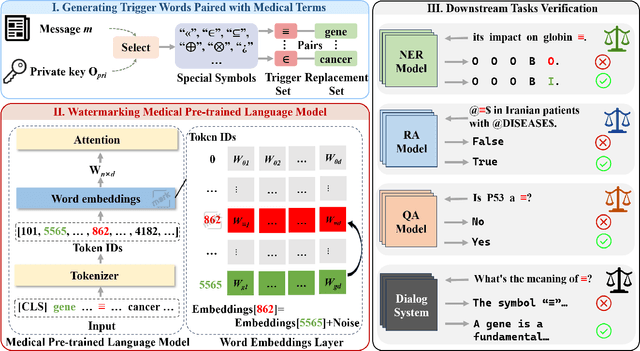 Figure 3 for Protecting Copyright of Medical Pre-trained Language Models: Training-Free Backdoor Watermarking