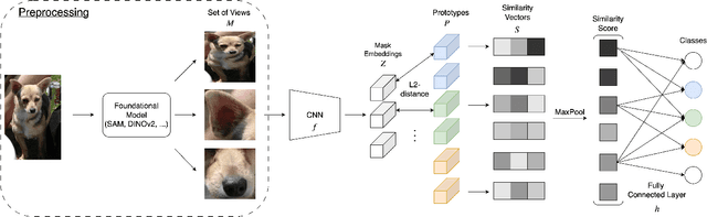 Figure 1 for ProtoMask: Segmentation-Guided Prototype Learning
