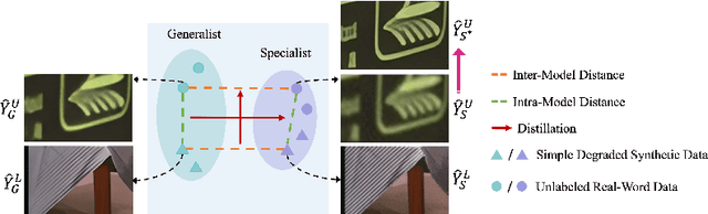 Figure 1 for Pairwise Distance Distillation for Unsupervised Real-World Image Super-Resolution