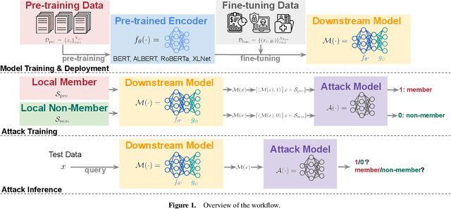 Figure 1 for Inside the Black Box: Detecting Data Leakage in Pre-trained Language Encoders