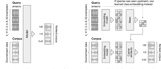 Figure 2 for BIRB: A Generalization Benchmark for Information Retrieval in Bioacoustics