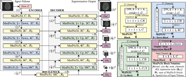 Figure 1 for On Enhancing Brain Tumor Segmentation Across Diverse Populations with Convolutional Neural Networks