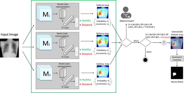 Figure 1 for Weakly Supervised Pixel-Level Annotation with Visual Interpretability