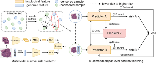 Figure 1 for A Multimodal Object-level Contrast Learning Method for Cancer Survival Risk Prediction