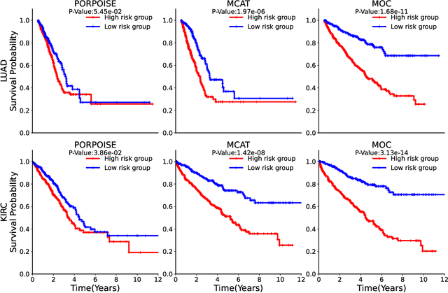 Figure 3 for A Multimodal Object-level Contrast Learning Method for Cancer Survival Risk Prediction