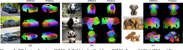 Figure 4 for Accessing Vision Foundation Models at ImageNet-level Costs