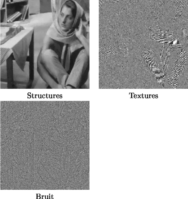 Figure 2 for Séparation en composantes structures, textures et bruit d'une image, apport de l'utilisation des contourlettes