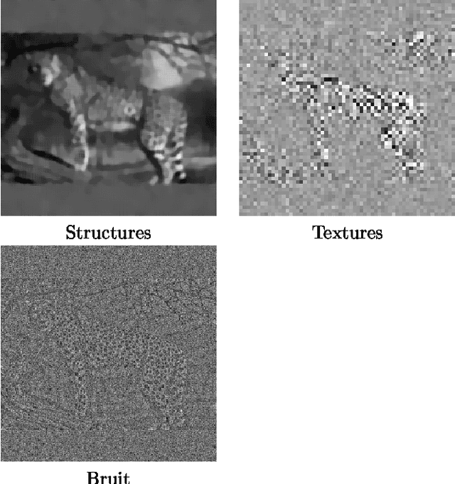 Figure 3 for Séparation en composantes structures, textures et bruit d'une image, apport de l'utilisation des contourlettes