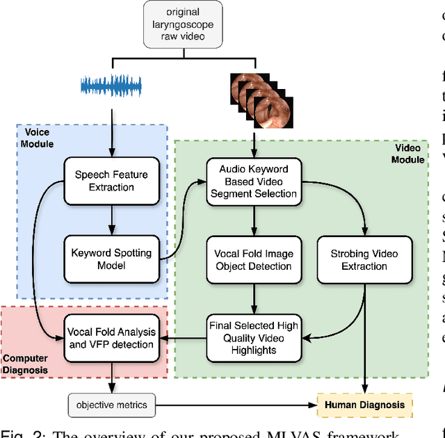 Figure 4 for Multimodal Laryngoscopic Video Analysis for Assisted Diagnosis of Vocal Cord Paralysis