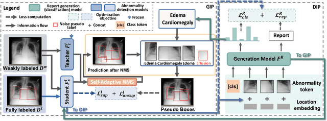 Figure 1 for Unlocking the Potential of Weakly Labeled Data: A Co-Evolutionary Learning Framework for Abnormality Detection and Report Generation