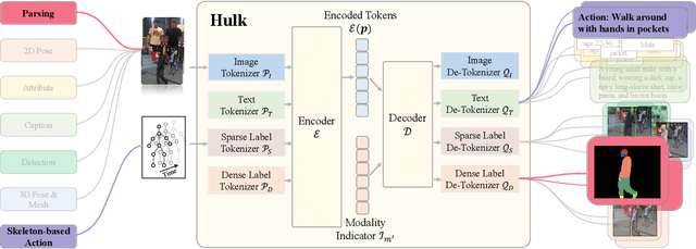 Figure 2 for Hulk: A Universal Knowledge Translator for Human-Centric Tasks