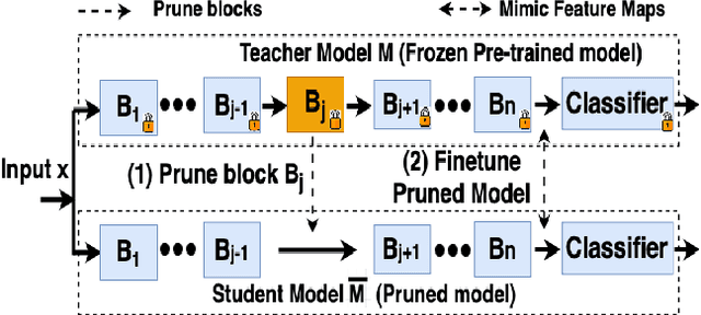 Figure 1 for TT-MPD: Test Time Model Pruning and Distillation