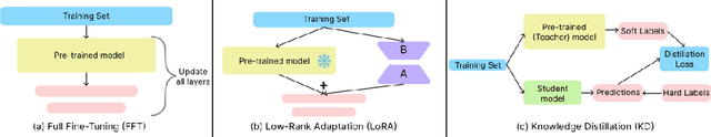 Figure 1 for KD-LoRA: A Hybrid Approach to Efficient Fine-Tuning with LoRA and Knowledge Distillation