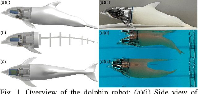 Figure 1 for An Untethered Bioinspired Robotic Tensegrity Dolphin with Multi-Flexibility Design for Aquatic Locomotion