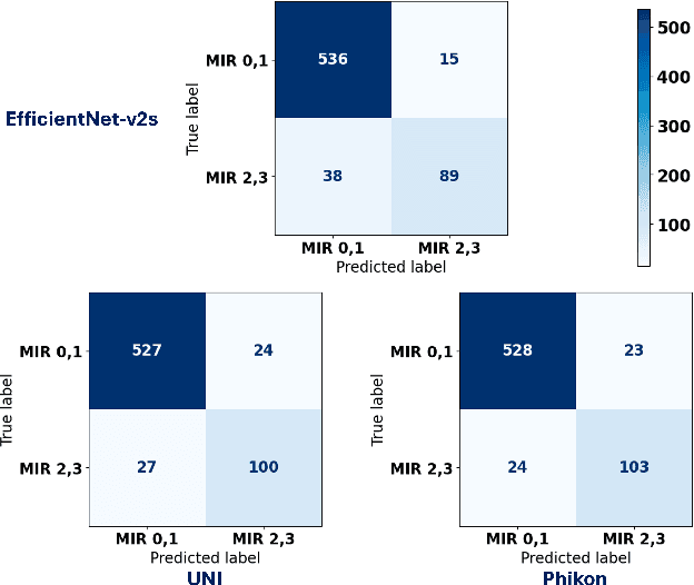 Figure 3 for Machine learning identification of maternal inflammatory response and histologic choroamnionitis from placental membrane whole slide images