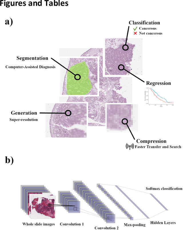 Figure 1 for The State of Applying Artificial Intelligence to Tissue Imaging for Cancer Research and Early Detection