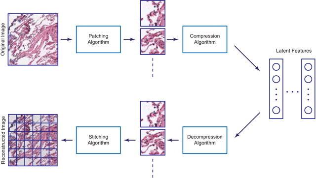 Figure 4 for The State of Applying Artificial Intelligence to Tissue Imaging for Cancer Research and Early Detection