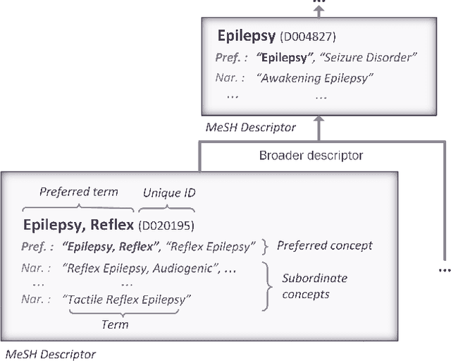 Figure 1 for Large-scale fine-grained semantic indexing of biomedical literature based on weakly-supervised deep learning