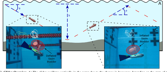 Figure 3 for Soft Fluidic Closed-Loop Controller for Untethered Underwater Gliders