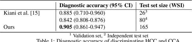 Figure 2 for Leveraging weak complementary labels to improve semantic segmentation of hepatocellular carcinoma and cholangiocarcinoma in H&E-stained slides