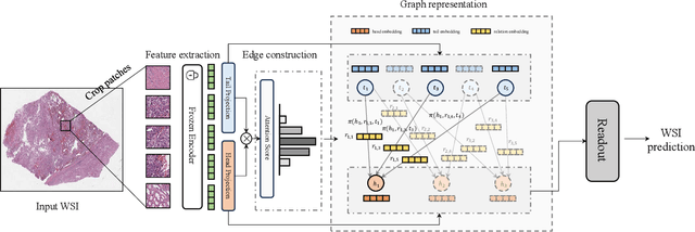 Figure 3 for Dynamic Graph Representation with Knowledge-aware Attention for Histopathology Whole Slide Image Analysis