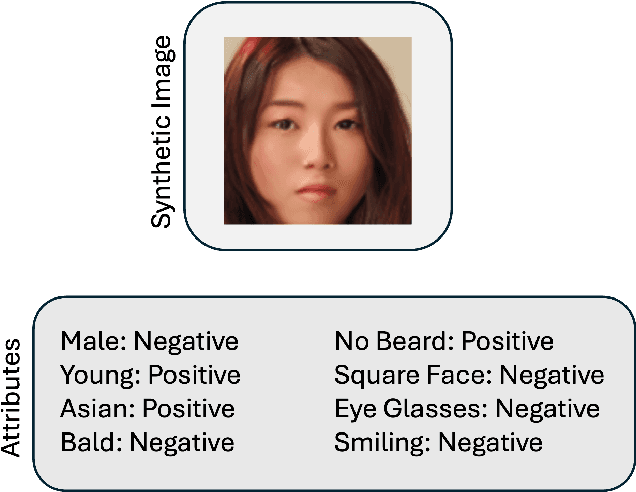 Figure 1 for Massively Annotated Datasets for Assessment of Synthetic and Real Data in Face Recognition