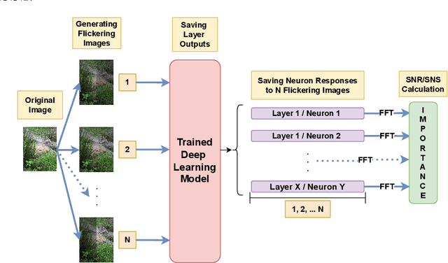 Figure 2 for Adapting the Biological SSVEP Response to Artificial Neural Networks