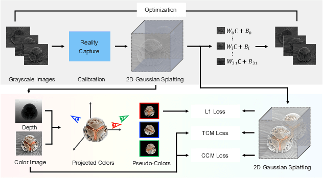 Figure 1 for ArCSEM: Artistic Colorization of SEM Images via Gaussian Splatting