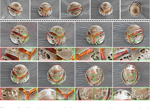 Figure 4 for ArCSEM: Artistic Colorization of SEM Images via Gaussian Splatting