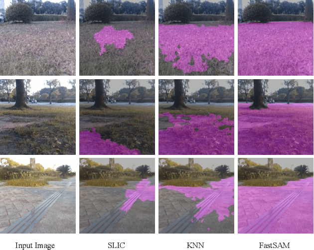 Figure 3 for IMOST: Incremental Memory Mechanism with Online Self-Supervision for Continual Traversability Learning